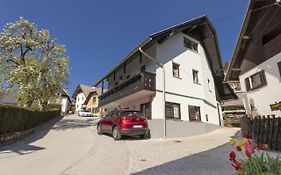 Lake Bled Holiday Home